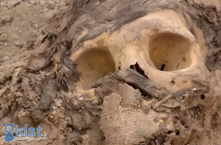 یک مومیایی 3000 ساله در پرو در زیر حدود 7000 کیلوگرم زباله کشف شد