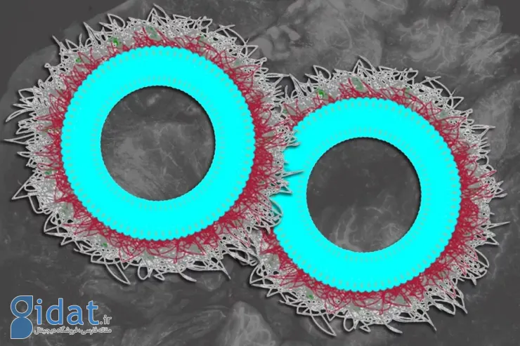 دستاورد محققان MIT: توسعه نانوذراتی که سرطان تخمدان را در ۸۰ درصد موارد از بین می‌برد