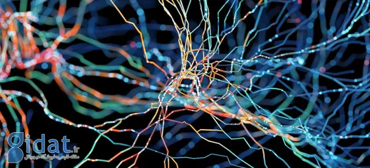 مطالعه جدید: تجمع آهن در مغز افراد مبتلا به ADHD ممکن است منجر به آلزایمر شود
