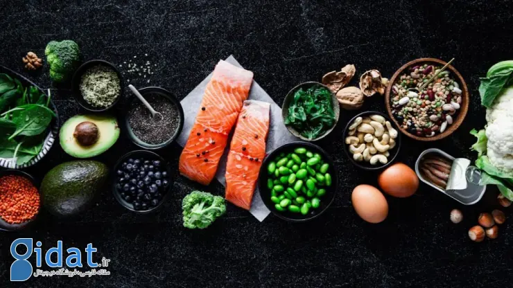 رژیم غذایی نوردیک 