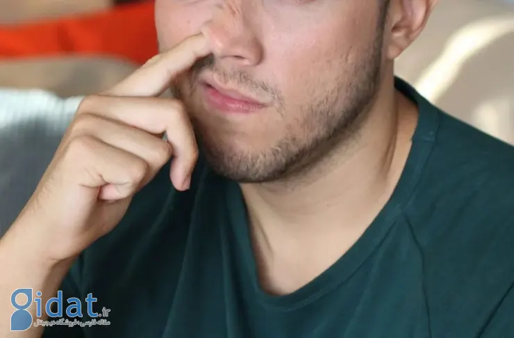 تحقیقات جدید: انگشت کردن در بینی ممکن است ارتباط غیرمنتظره‌ای با آلزایمر داشته باشد