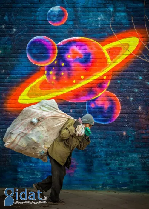 مسابقه عکاسی سونی 2025؛ بهترین تک‌تصویرها از دنیای وحش تا سازه‌های مدرن