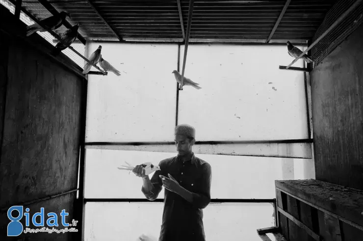 مسابقه عکاسی سونی جوانان ۲۰۲۶