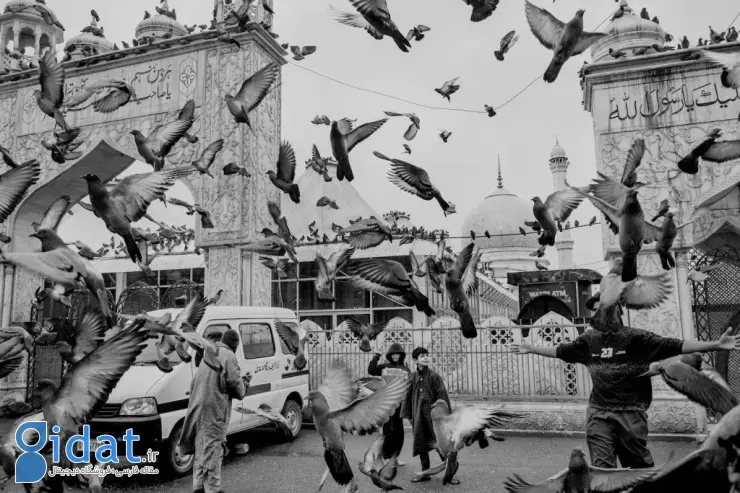 مسابقه عکاسی سونی جوانان ۲۰۲۶