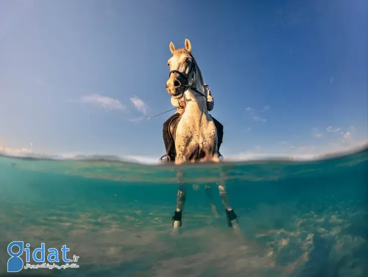 مسابقه عکاسی سونی جوانان ۲۰۲۶