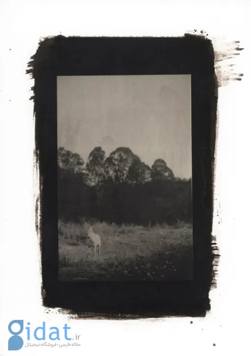 مسابقه عکاسی سونی جوانان ۲۰۲۶