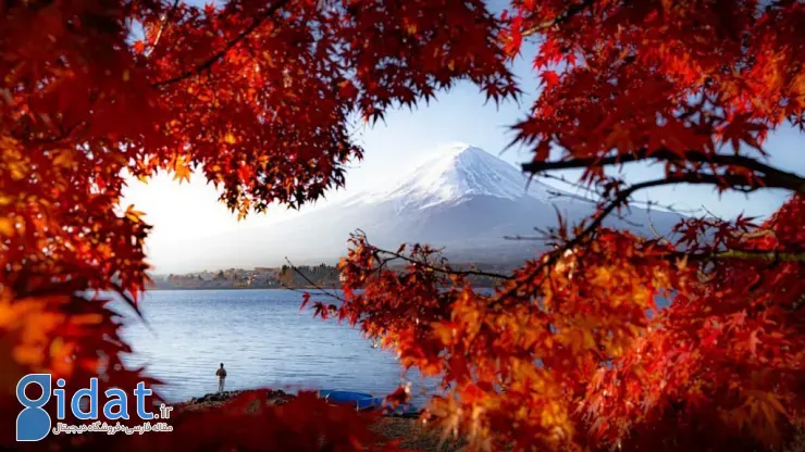 مسابقه عکاسی سونی جوانان ۲۰۲۶