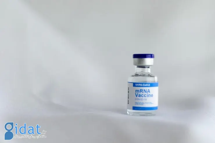 دستاوردهای ۲۰۲۵ پزشکی