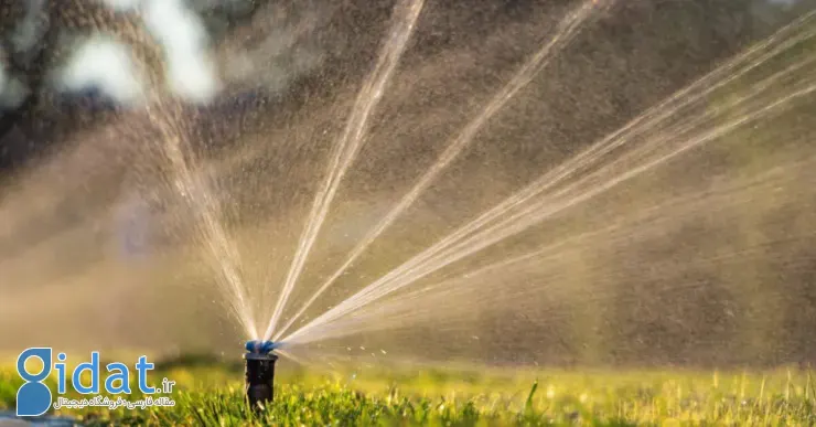 آبیاری بارانی