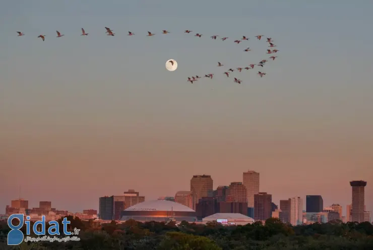 پدیده ابرماه نوامبر