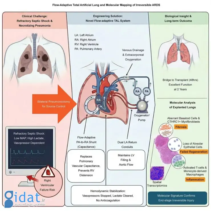 زندهنگه داشتن بیمار بدون ریه به مدت ۴۸ ساعت
