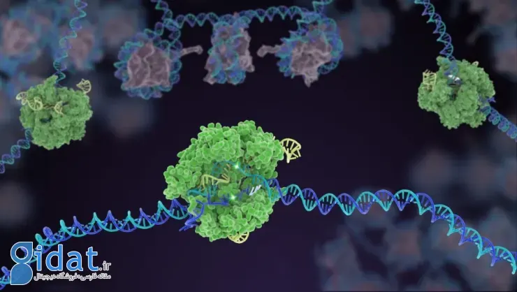 دستاوردهای ۲۰۲۵ پزشکی