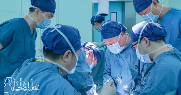 دستاوردهای ۲۰۲۵ پزشکی