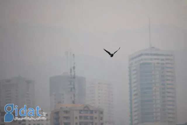 آلودگی هوا: قاتل خاموش با صورتحساب ۱۴ میلیارد دلاری