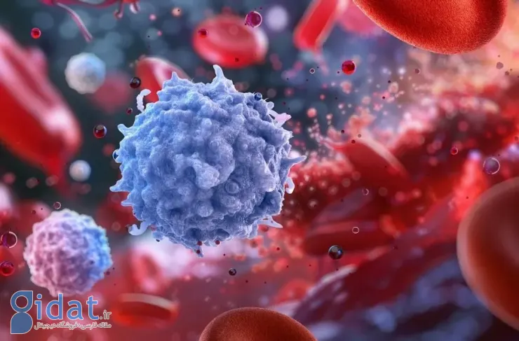 دانشمندان دانشگاه MIT راهی برای جوانسازی سیستم ایمنی در دوران پیری پیدا کرده‌اند