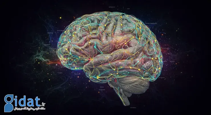 مغز ذهن