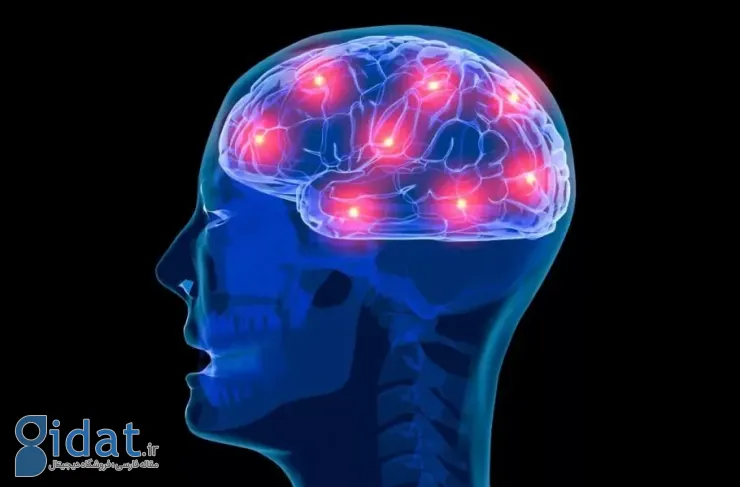 تحقیقات جدید: عملکرد کلی ذهن انسان بین سنین ۵۵ تا ۶۰ سالگی به اوج خود می‌رسد