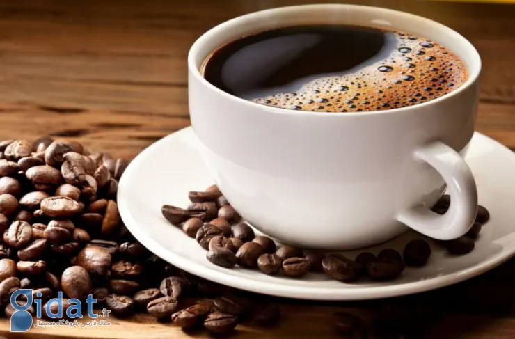 مطالعه جدید: مصرف قهوه با کاهش خطر ابتلا به بیماری پارکینسون مرتبط است