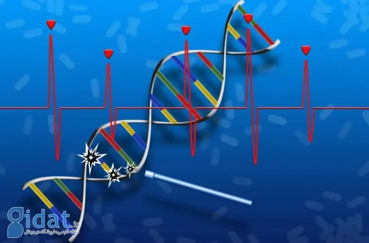 اولین دارویی که DNA را ترمیم و بافت آسیب دیده را بازسازی می‌کند، معرفی شد