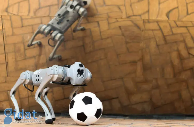 این سگ رباتیک می تواند روی چمن، شن و برف فوتبال بازی کند
