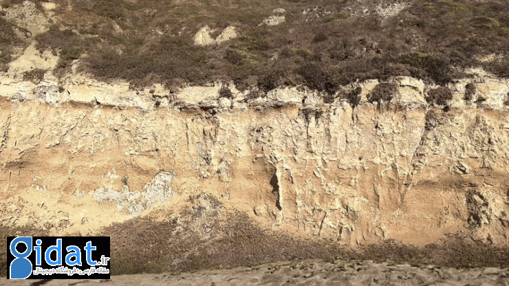 دنیای مجازی