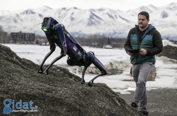 فرودگاه آلاسکا برای دور نگه داشتن حیوانات از ربات ها کمک می گیرد [تماشا کنید]