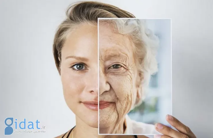 مقایسه چهره میانسالی و جوانی