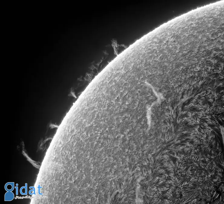 مسابقه عکاسی علمی انجمن سلطنتی ۲۰۲۵