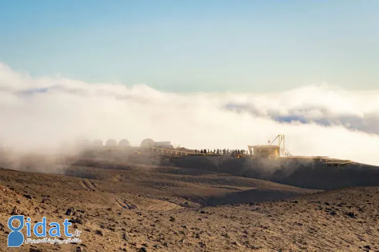 مسابقه عکاسی علمی انجمن سلطنتی ۲۰۲۵