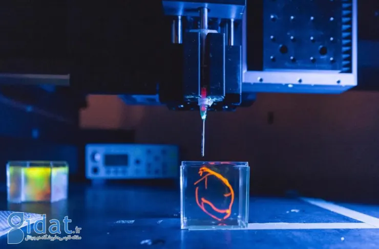 محققان دانشگاه استنفورد به دنبال چاپ سه بعدی قلب انسان و پیوند آن به خوک زنده هستند