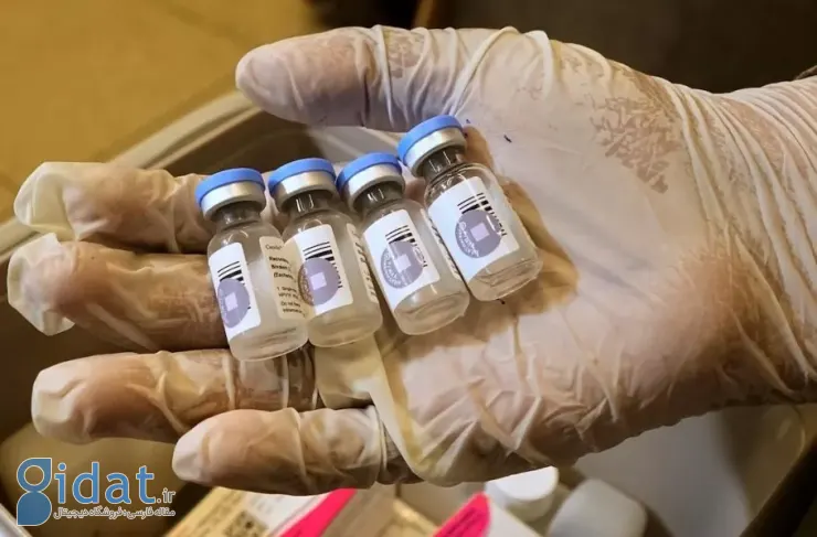 نتایج مطالعات گسترده: واکسن HPV می‌تواند خطر ابتلا به سرطان دهانه رحم را تا ۸۰ درصد کاهش دهد