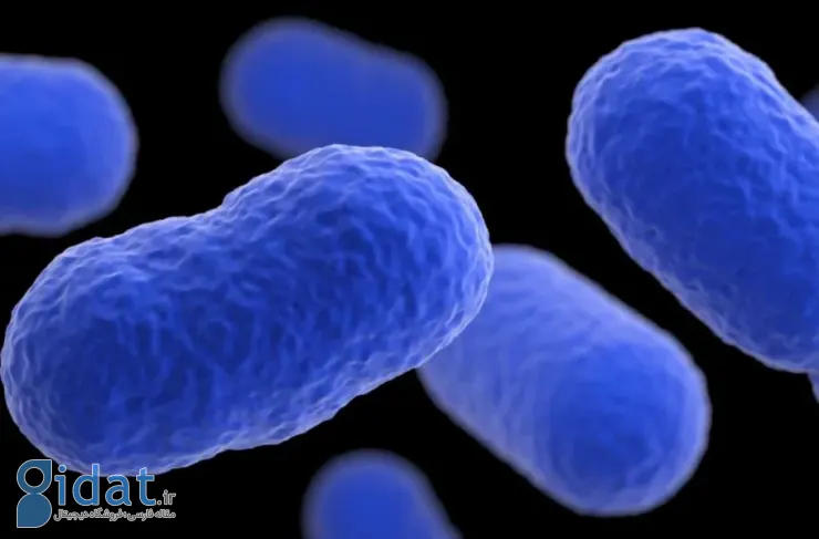 کشف باکتری ۵ هزار ساله در غار یخی که به آنتی‌بیوتیک مقاوم است