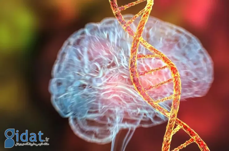 دانشمندان به کشف مهمی دست یافتند: جهش یک ژن خاص می‌تواند باعث بیماری روانی شود