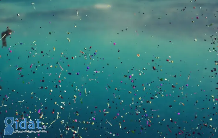 کشف قارچ های پلاستیک خوار که بهتر از ما اقیانوس ها را تمیز می کنند!