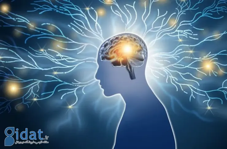 اولین ابزار تشخیص اسکیزوفرنی مبتنی بر هوش مصنوعی در تایوان معرفی شد