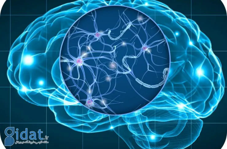 FDA آمریکا به یک ابزار هوش مصنوعی برای پیش‌بینی زوال عقل مجوز داد