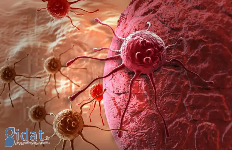 تحقیق جدید: مصرف بیش از حد آنتی‌اکسیدان‌ها می‌تواند باعث رشد تومورهای سرطانی شود