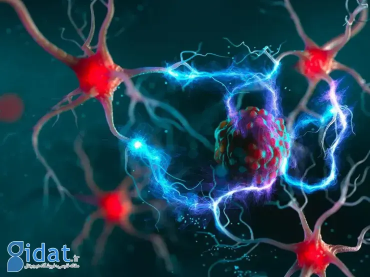 شیمی‌درمانی سلول‌های سرطانی مقاوم