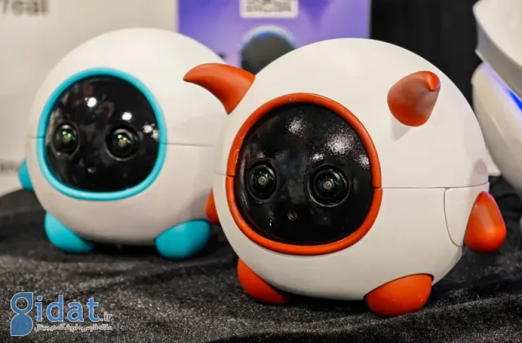 ربات Vex معرفی شد؛ همراه حیوان خانگی با قابلیت ضبط ویدیو