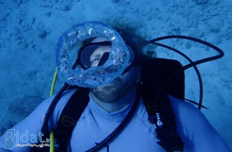 100 روز زیر آب؛ محقق آمریکایی در حال شکستن رکورد حیات در اعماق دریا است