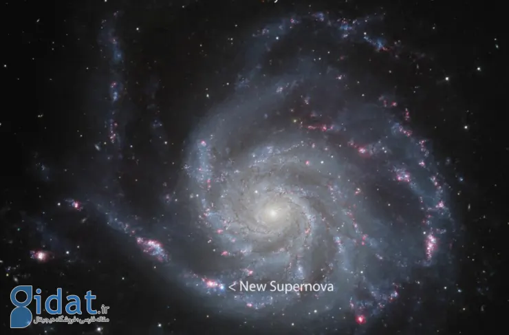 تصویر روز ناسا: ابرنواختر کشف‌شده در کهکشان مارپیچی M101