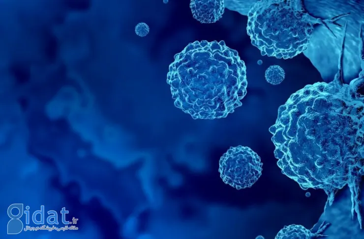 امیدی جدید برای درمان سرطان روده بزرگ؛ گروهی از سلول های ایمنی می توانند نقش حیاتی ایفا کنند