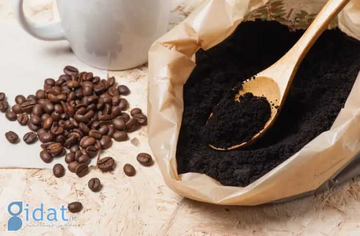 محققان: تفاله قهوه ممکن است از مغز در برابر آلزایمر محافظت کند
