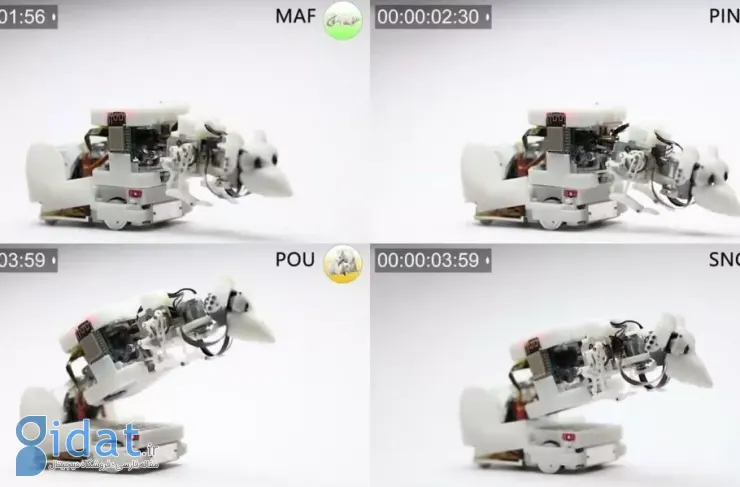دانشمندان موش رباتیکی ساخته اند که می تواند با موش های واقعی ارتباط برقرار کند