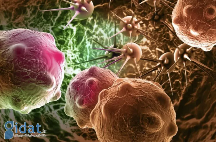 دستاورد محققان کره جنوبی: نانو پهپادهایی که سلول های سرطانی را هدف قرار می دهند