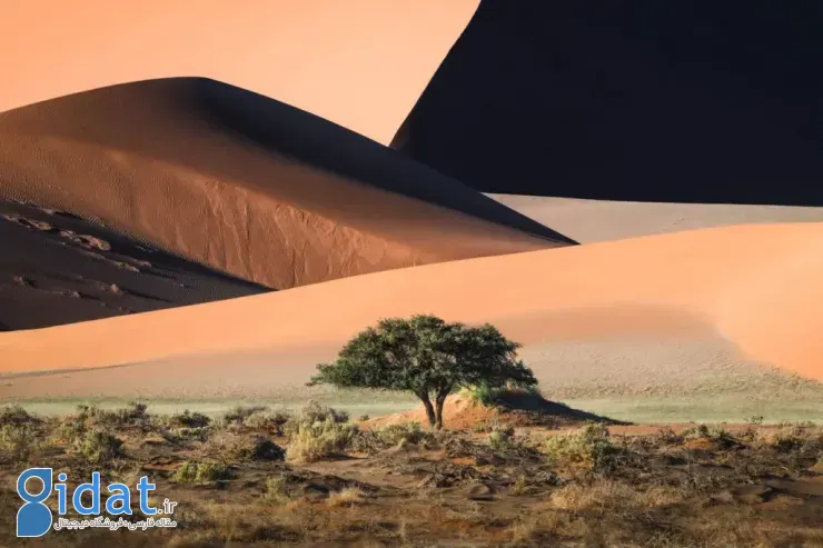 مسابقه عکاسی سونی ۲۰۲۶