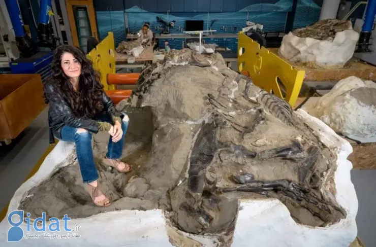 کشف جدید دانشمندان: اسکلت منتسب به تی رکس نابالغ، یک گونه مستقل است