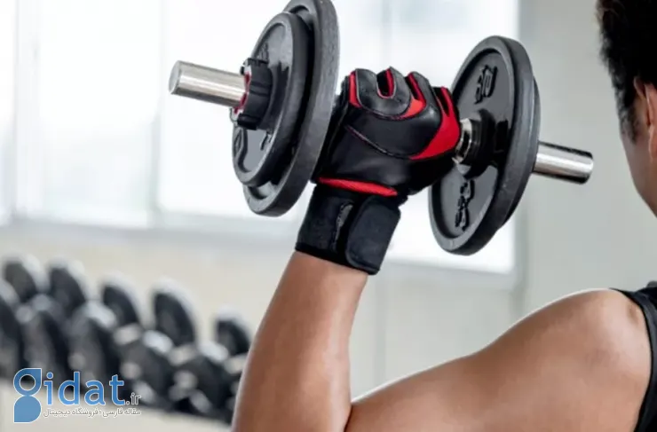 تحقیقات جدید: وزنه‌برداری ممکن است در پیشگیری از دیابت و چاقی مؤثرتر از دویدن باشد