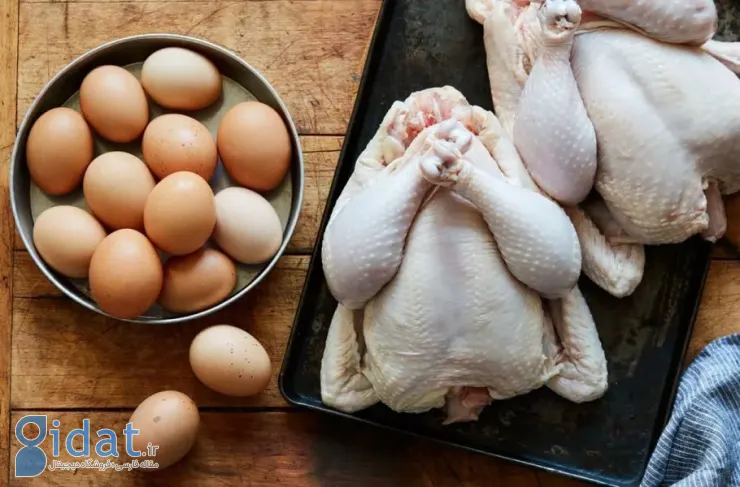 قیمت مرغ با حدود ۵۰ درصد افزایش به ۲۳۶۰۰۰ تومان در هر کیلو رسید