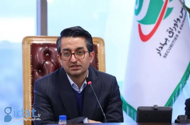 معاون نظارت بر سازمان بورس: تا زمانی که ریسک ها در بازار وجود داشته باشد، دامنه نوسان تغییر نخواهد کرد